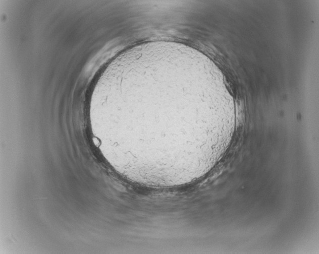 X0000070870291200607150128