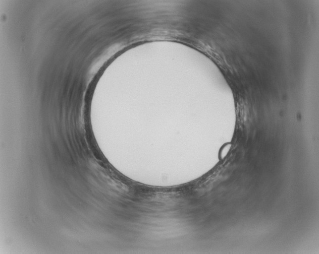 X0000070870292200607150128