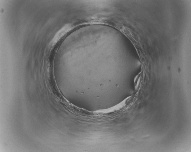 X0000070870295200607150128