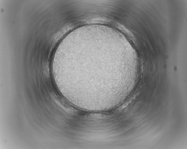 X0000070870298200607150128