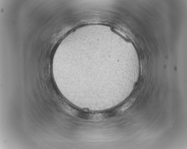 X0000070870301200607150128