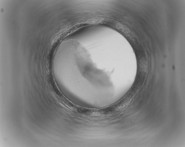 X0000070870303200607150128