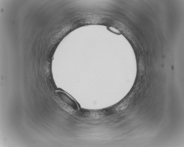 X0000070870305200607150128