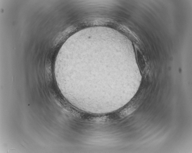 X0000070870306200607150128