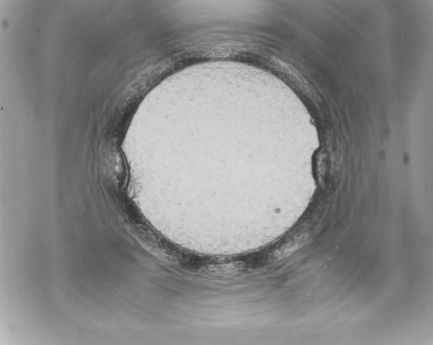 X0000070870307200607150128