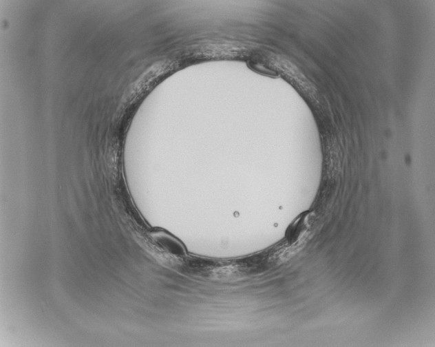 X0000070870309200607150128