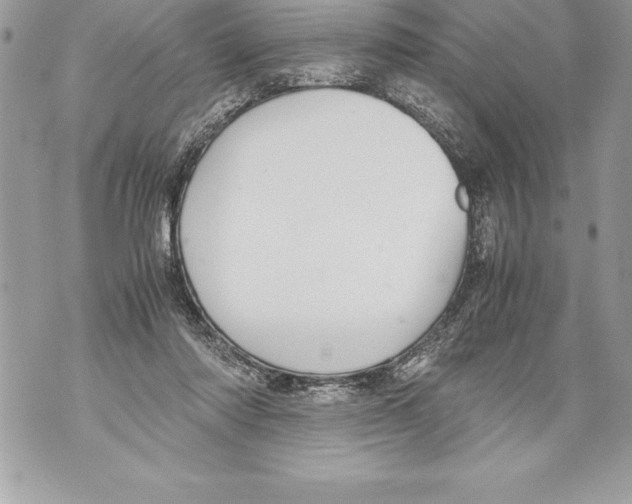 X0000070870310200607150128