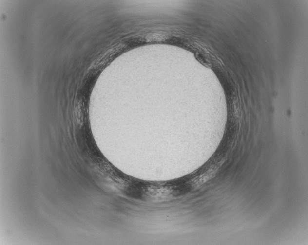 X0000070870311200607150128