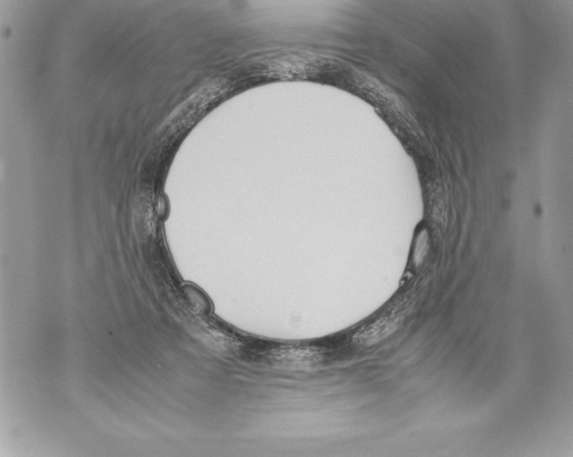 X0000070870313200607150128