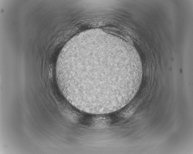 X0000070870315200607150128