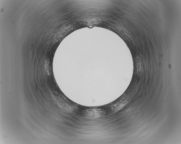 X0000070870316200607150128