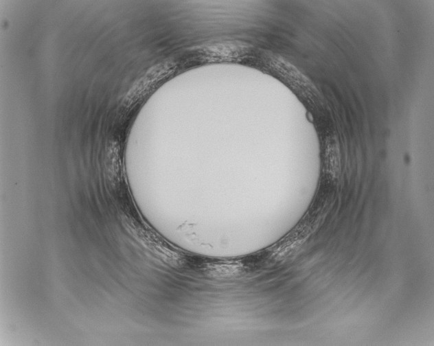 X0000070870318200607150128