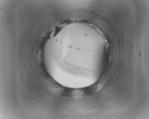 X0000070870319200607150128