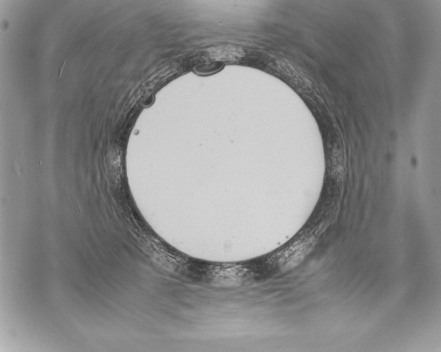 X0000070870321200607150128