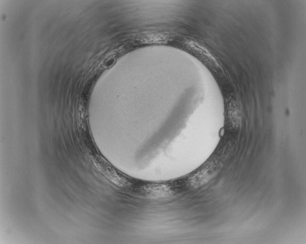 X0000070870322200607150128