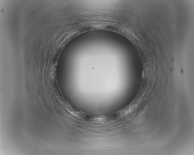 X0000070870325200607150128