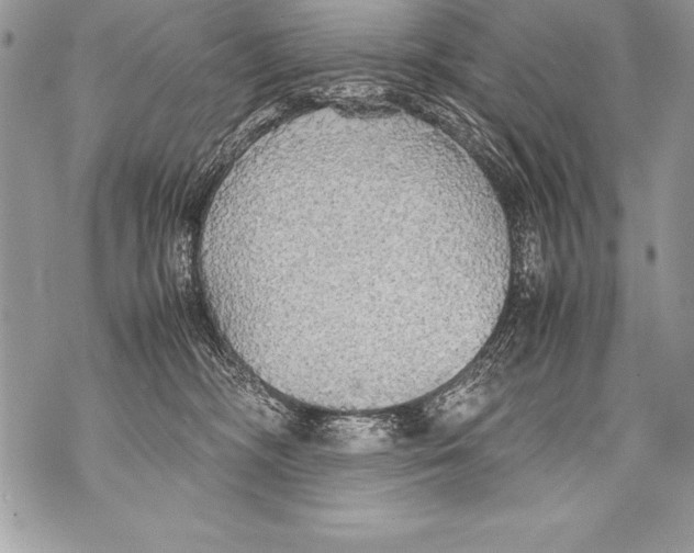 X0000070870326200607150128