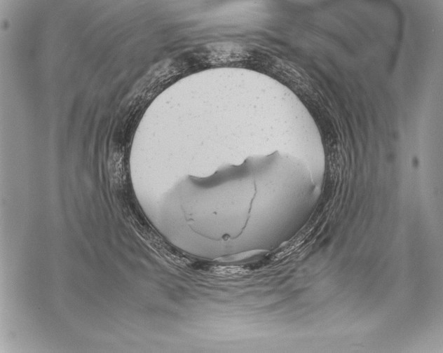 X0000070870327200607150128