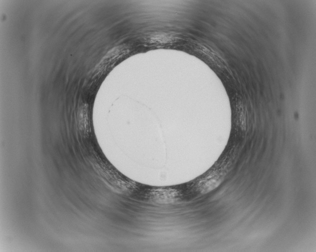 X0000070870328200607150127