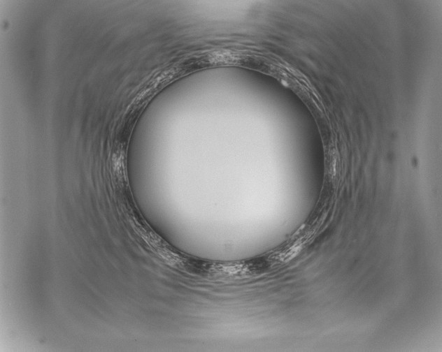 X0000070870329200607150127