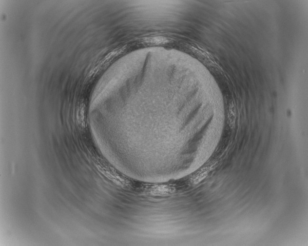 X0000070870330200607150127