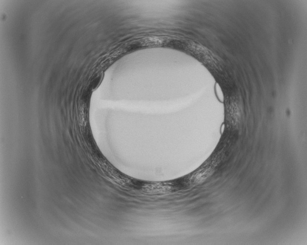 X0000070870331200607150127