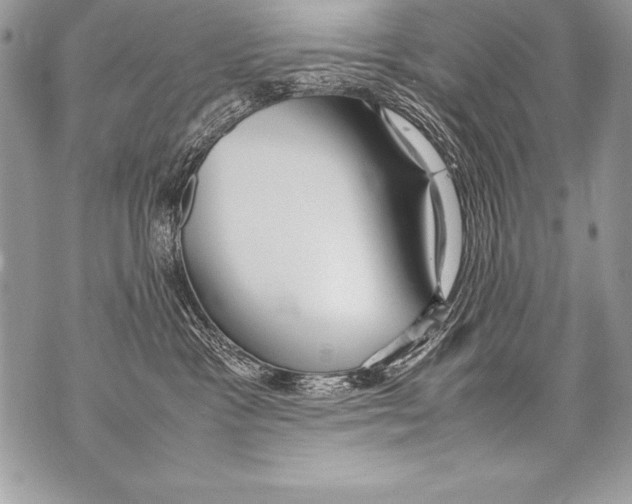 X0000070870333200607150127