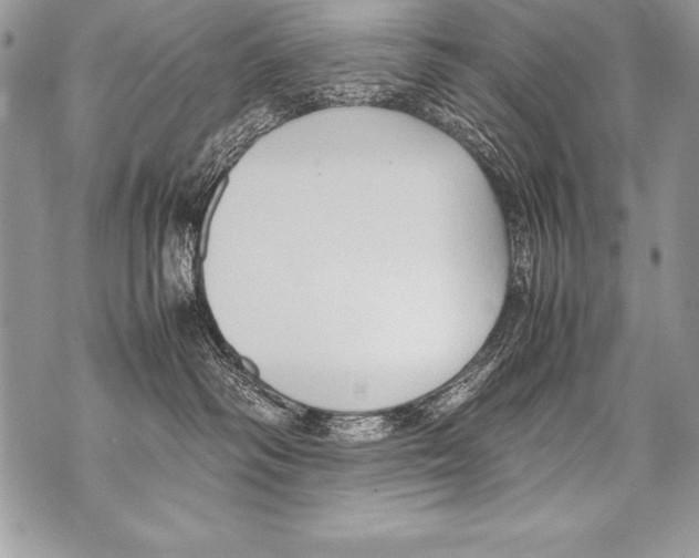 X0000070870334200607150127