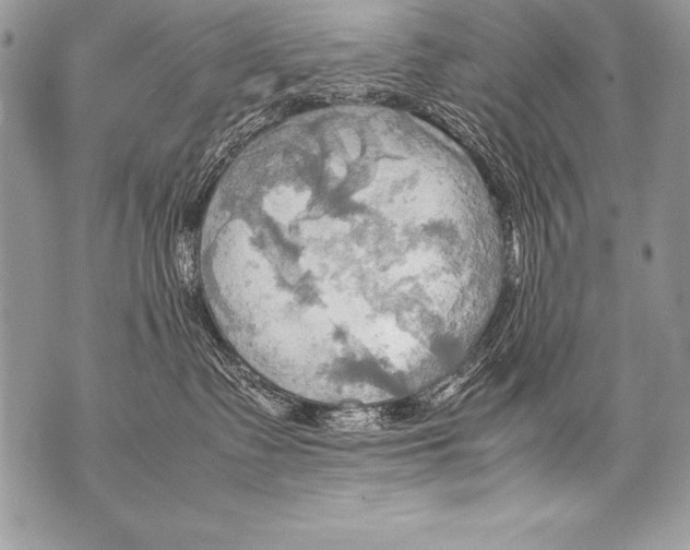 X0000070870335200607150127