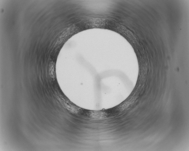 X0000070870336200607150127