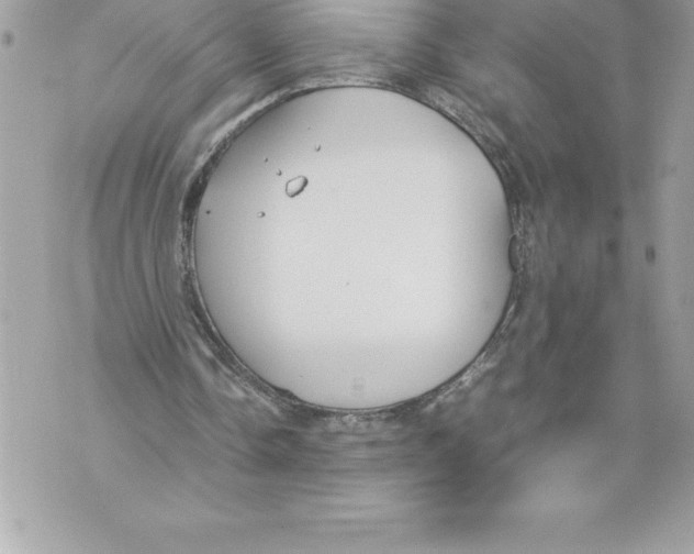 X0000070870338200607150127