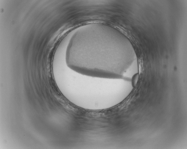 X0000070870339200607150127