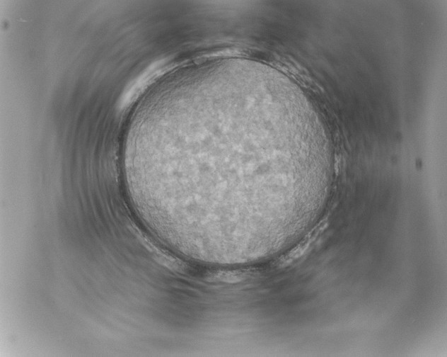 X0000070870341200607150127