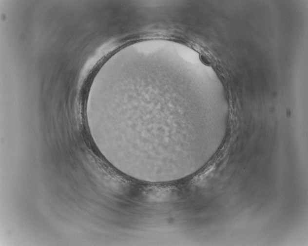 X0000070870343200607150127