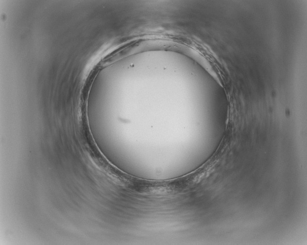 X0000070870344200607150127