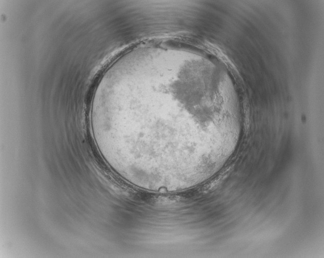 X0000070870346200607150127