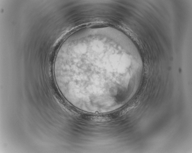 X0000070870347200607150127