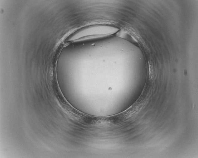 X0000070870348200607150127