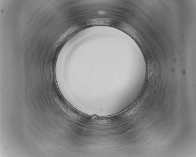 X0000070870349200607150127