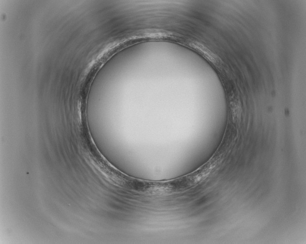 X0000070870350200607150127