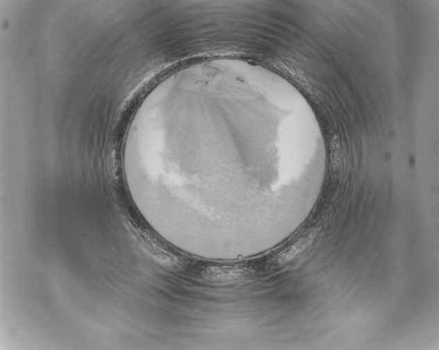 X0000070870351200607150127