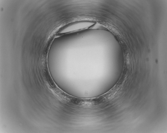 X0000070870352200607150127