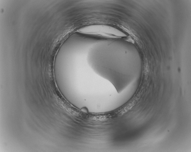 X0000070870353200607150127