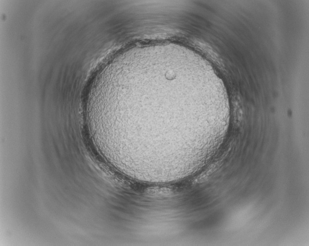 X0000070870354200607150127