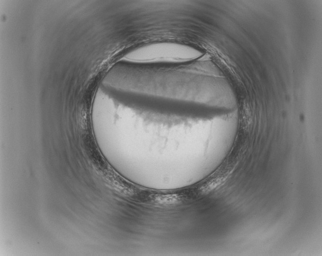 X0000070870355200607150127