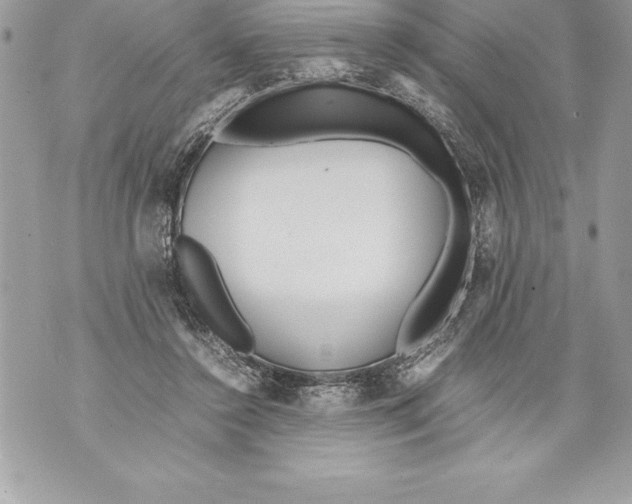 X0000070870356200607150127