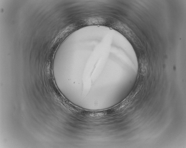 X0000070870357200607150127