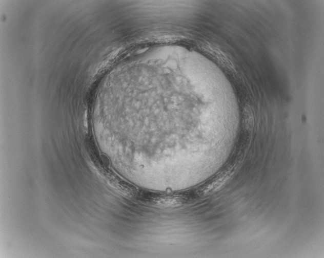 X0000070870358200607150127