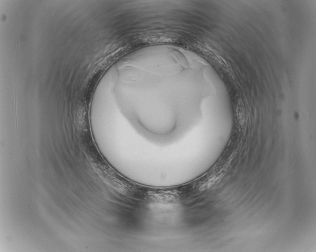 X0000070870359200607150127