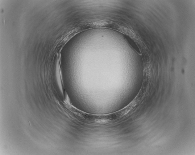 X0000070870360200607150127